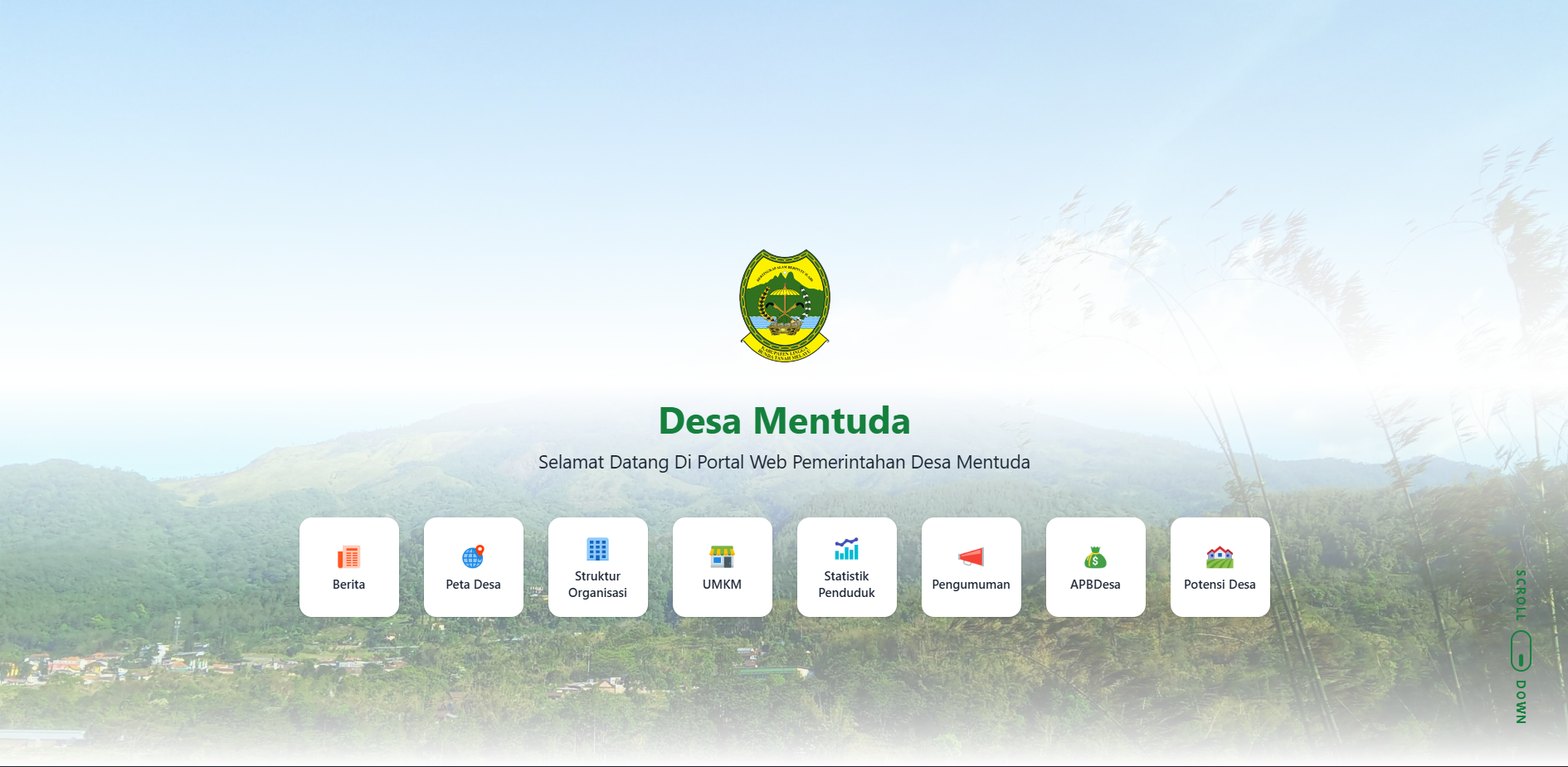 Website Satu Desa
